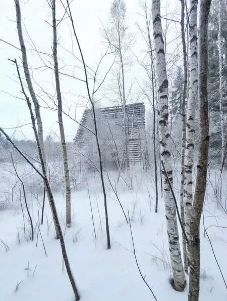 Участок в Ленинградская область, Волховский район, Кисельнинское ... - Фото 1