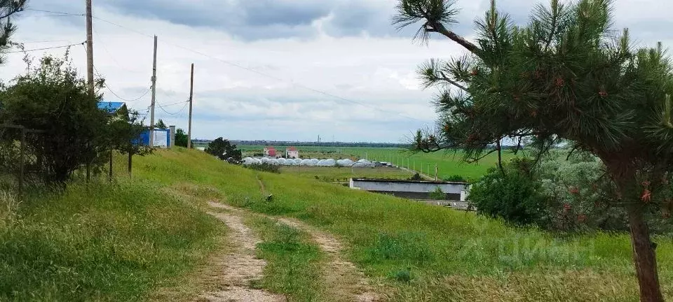 Земельные участки в береговой полосе. Деревня Береговая.