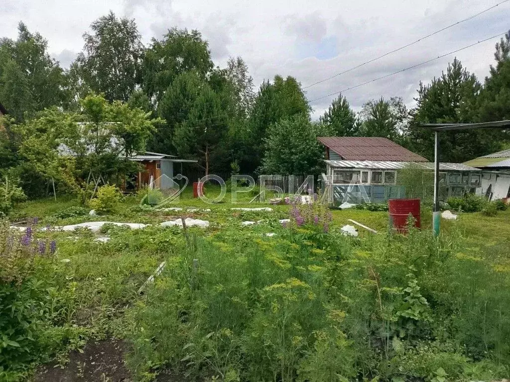 Дом в Тюменская область, Нижнетавдинский район, Лесная сказка СНТ ул. ... - Фото 0