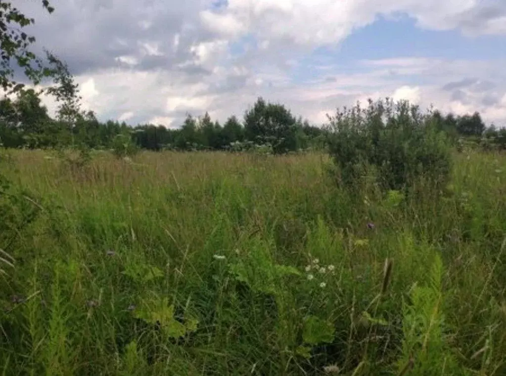 Участок в Московская область, Истра муниципальный округ, д. Адуево  ... - Фото 1