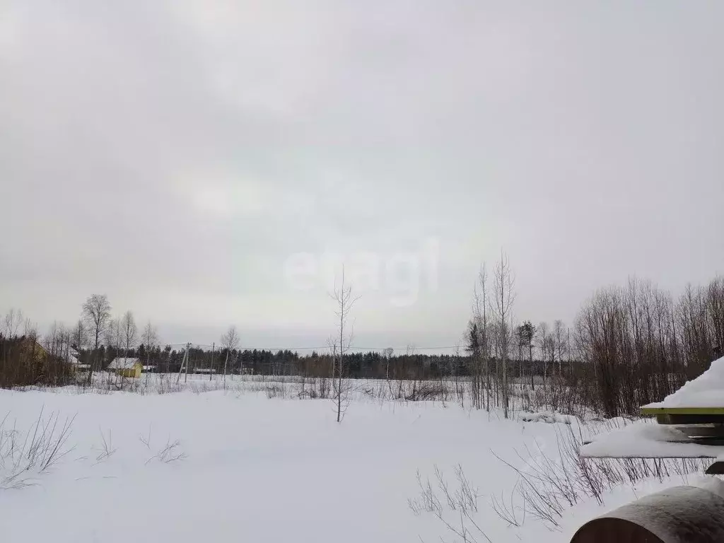 Участок в Архангельская область, Приморский муниципальный округ, пос. ... - Фото 0