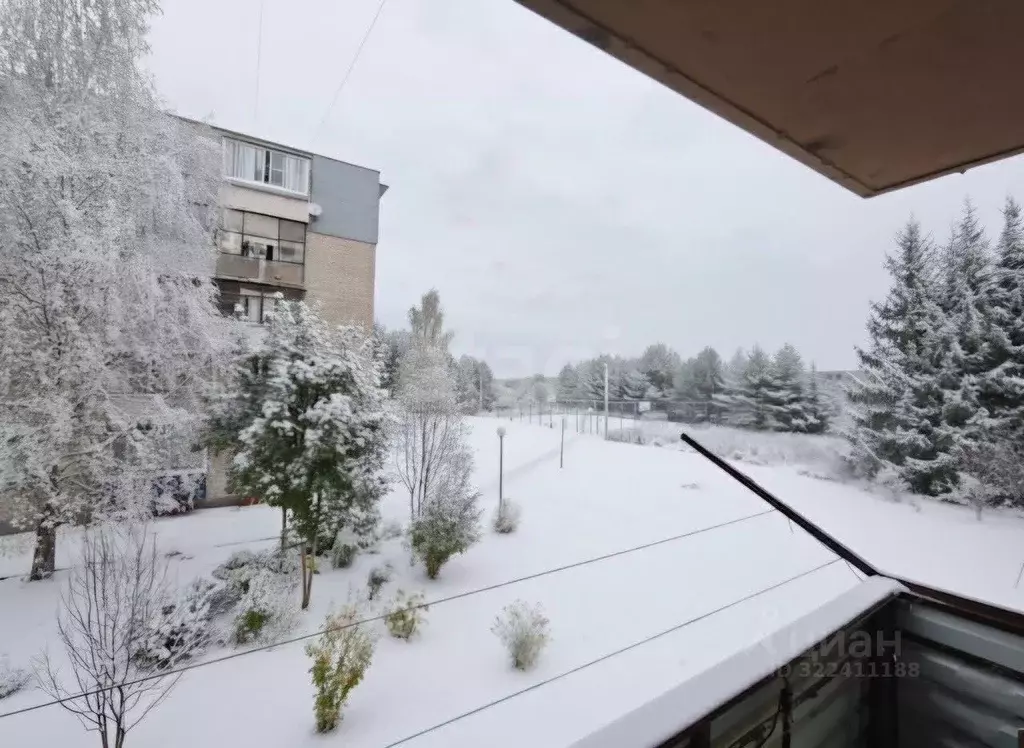 3-к кв. Калужская область, Боровск ул. Некрасова, 3 (51.3 м) - Фото 1