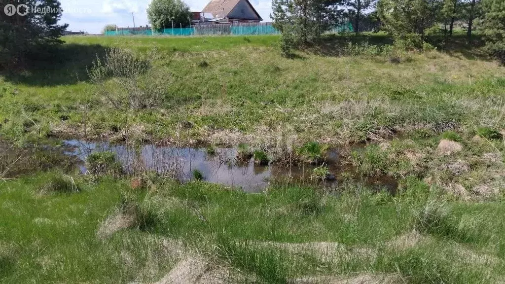 Участок в Свердловская область, муниципальный округ Сухой Лог, село ... - Фото 1
