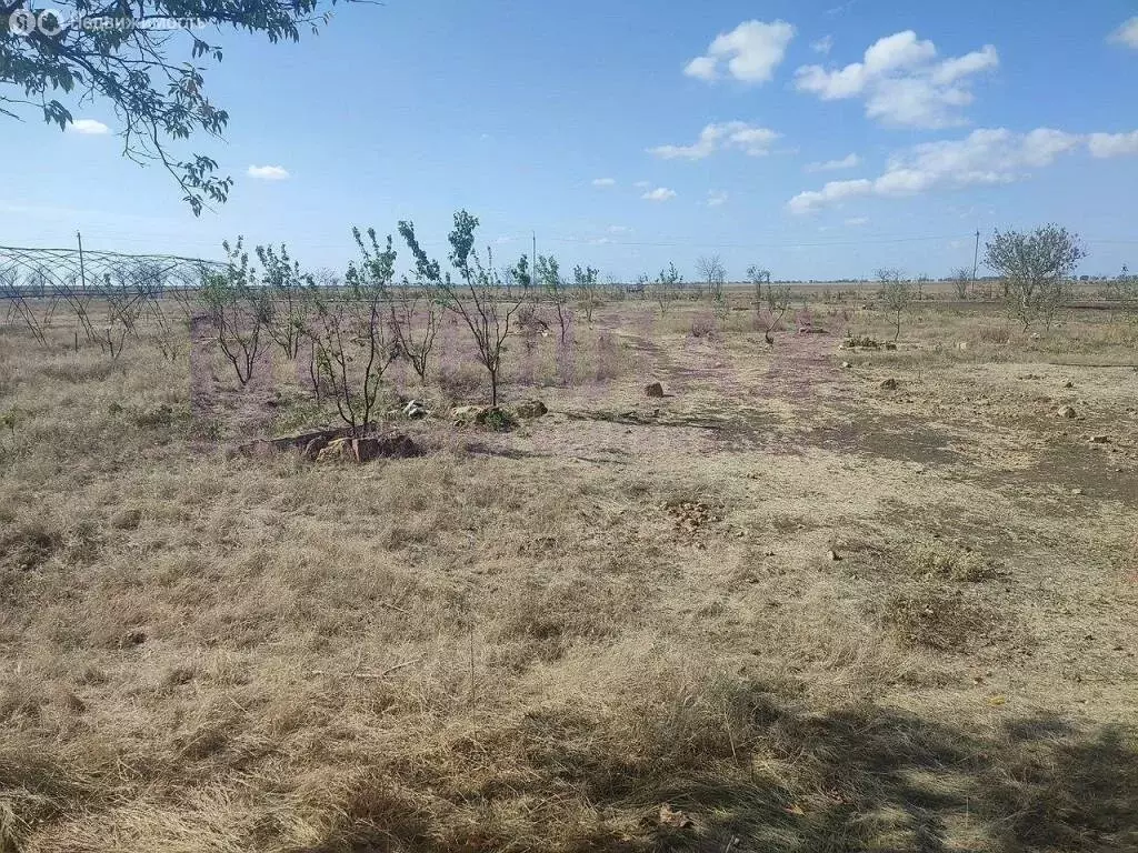 Дом в Ленинское, Октябрьская улица (45.5 м) - Фото 1