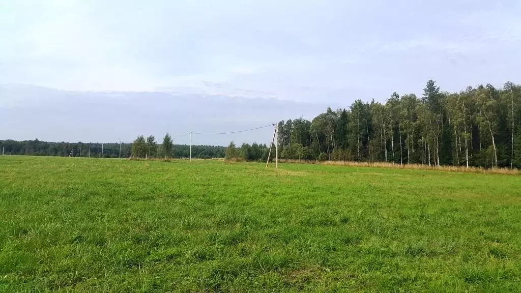 Участок в Владимирская область, Киржачский район, д. Тельвяково  (10.0 ... - Фото 1