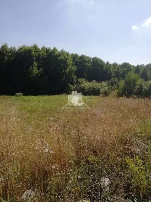 Участок в Белгородская область, Белгородский муниципальный округ, с. ... - Фото 1