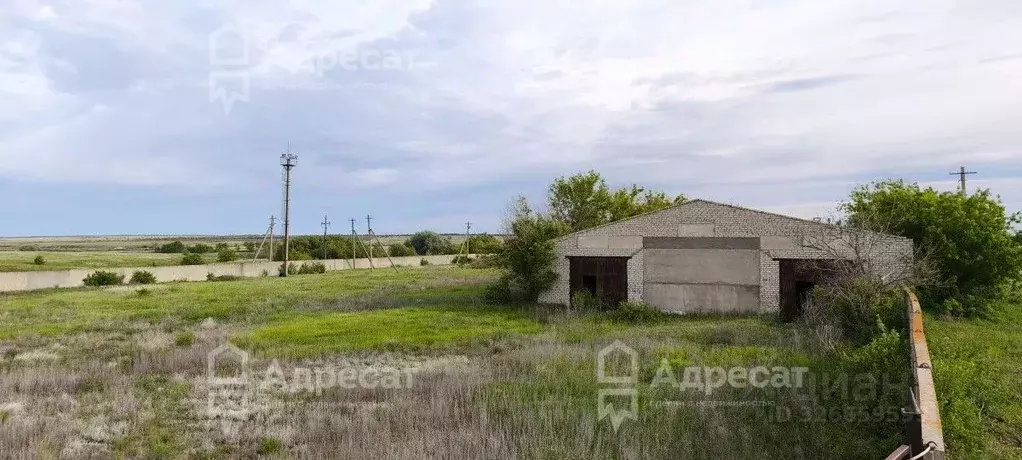 Помещение свободного назначения в Волгоградская область, Дубовский ... - Фото 2