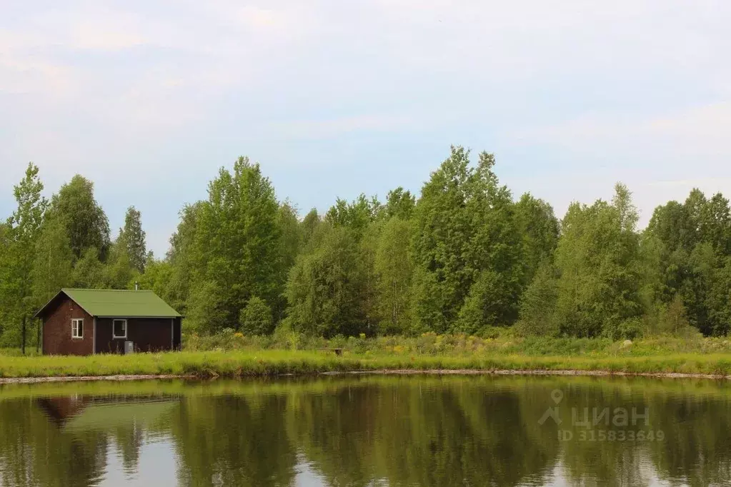 Дом в Ленинградская область, Выборгский район, Советское городское ... - Фото 0