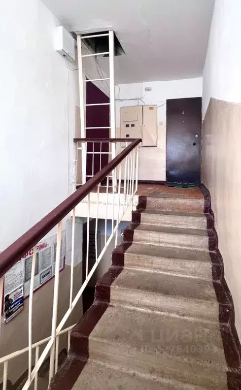 2-к кв. Кировская область, Кирово-Чепецк ул. Мелиораторов, 13 (43.9 м) - Фото 2