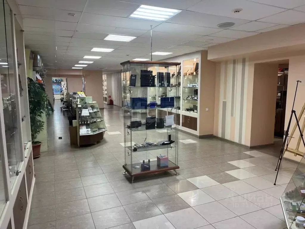Помещение свободного назначения в Липецкая область, Липецк ул. ... - Фото 1