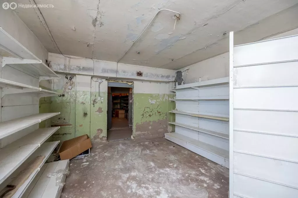 Помещение свободного назначения (231.7 м) - Фото 2