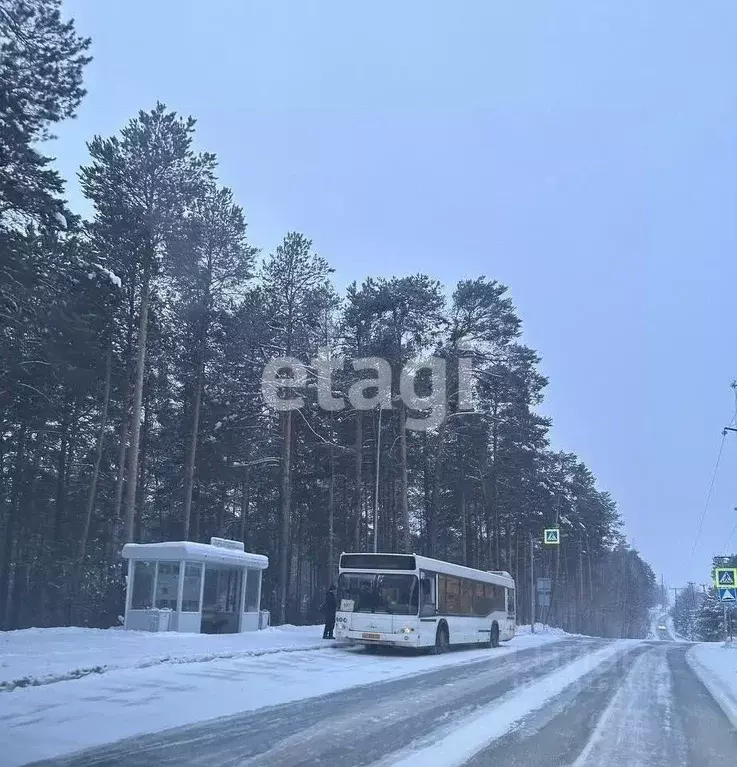 Участок в Ханты-Мансийский АО, Сургут Монтажник садовое товарищество, ... - Фото 1