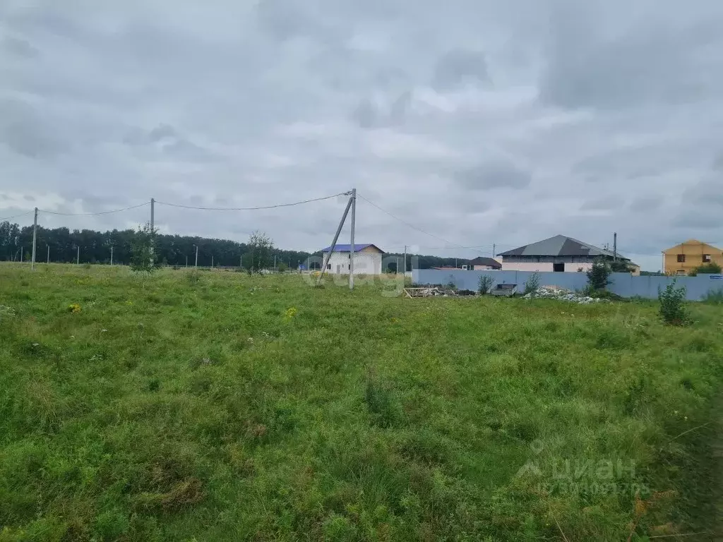 Участок в Омская область, Омский район, с. Усть-Заостровка  (11.7 ... - Фото 1