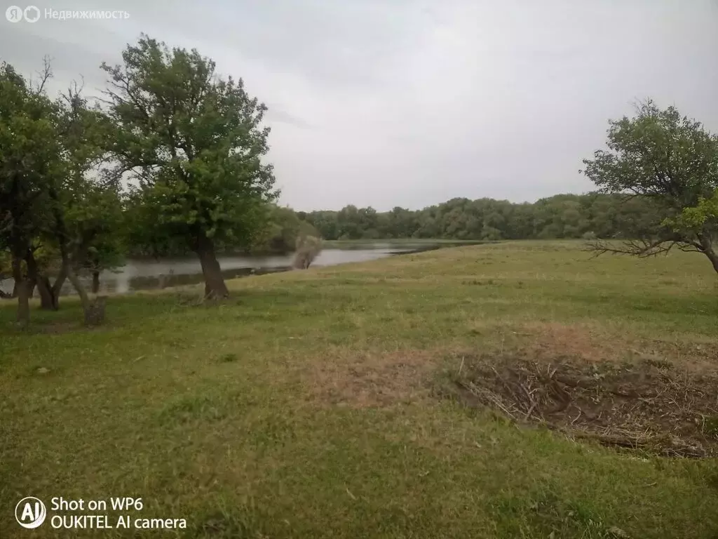 Участок в Голубинское сельское поселение, урочище Малонабатовский (250 ... - Фото 2