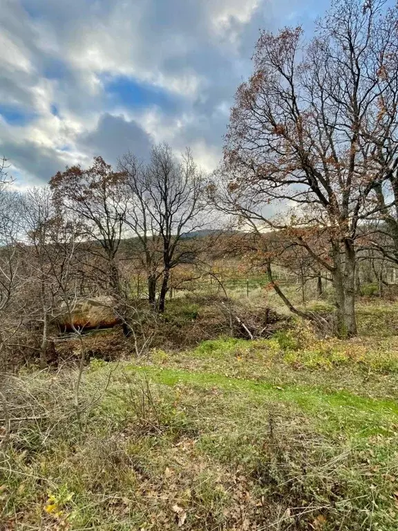 Участок в Крым, Ялта муниципальный округ, Виноградное пгт ул. Красина, ... - Фото 1