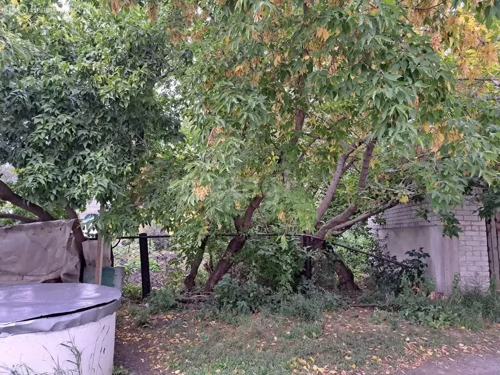 Участок в Голышманово, Садовая улица (6.7 м) - Фото 1