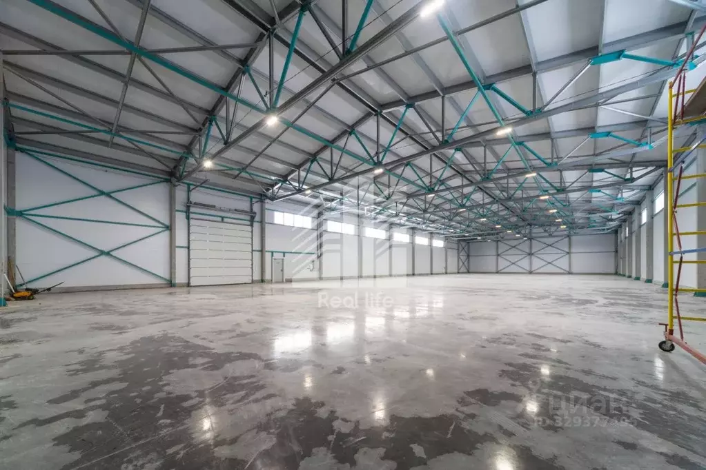 Склад в Московская область, Домодедово городской округ, д. Шахово 1Ф ... - Фото 2