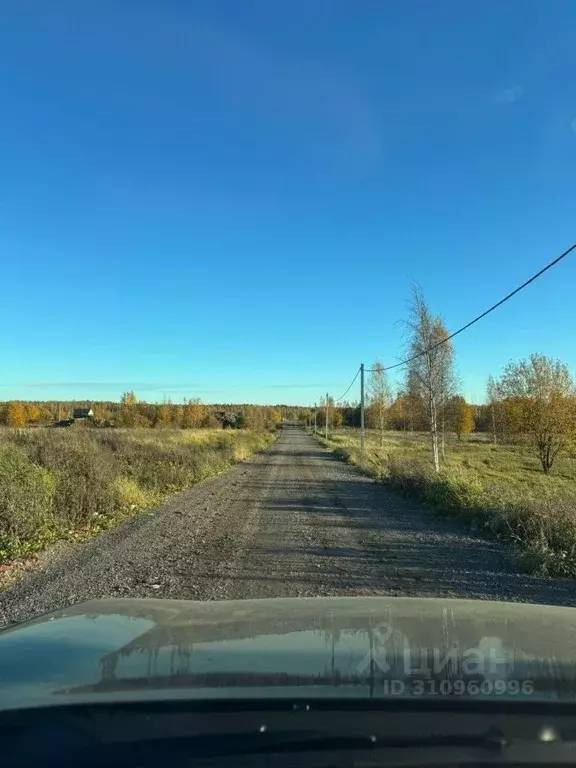 Участок в Ленинградская область, Ломоносовский район, Низинское с/пос, ... - Фото 0