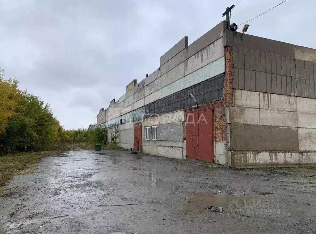 Помещение свободного назначения в Новосибирская область, Новосибирск ... - Фото 1