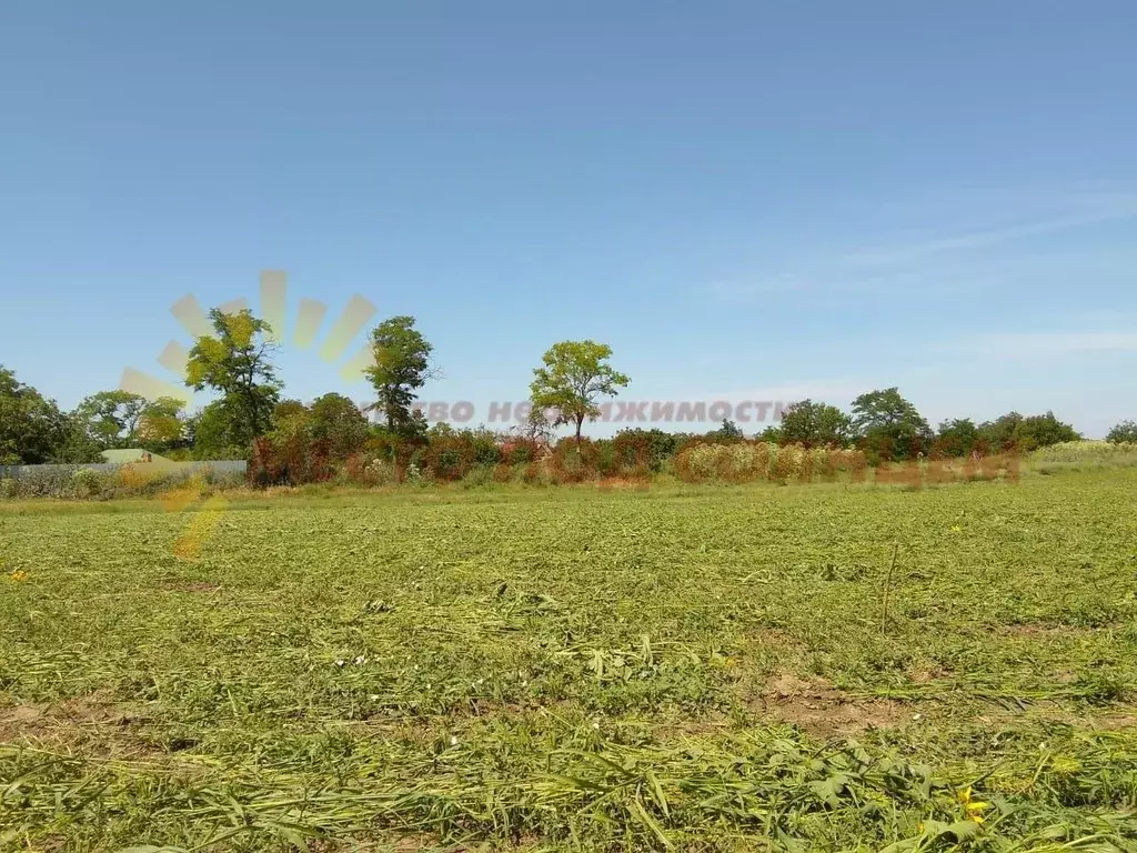 Участок в Краснодарский край, Щербиновский район, Шабельское с/пос, с. ... - Фото 1