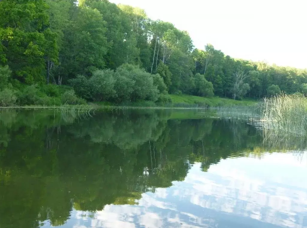 Дом в Курская область, Курский район, д. Щетинка 34 (30 м) - Фото 1