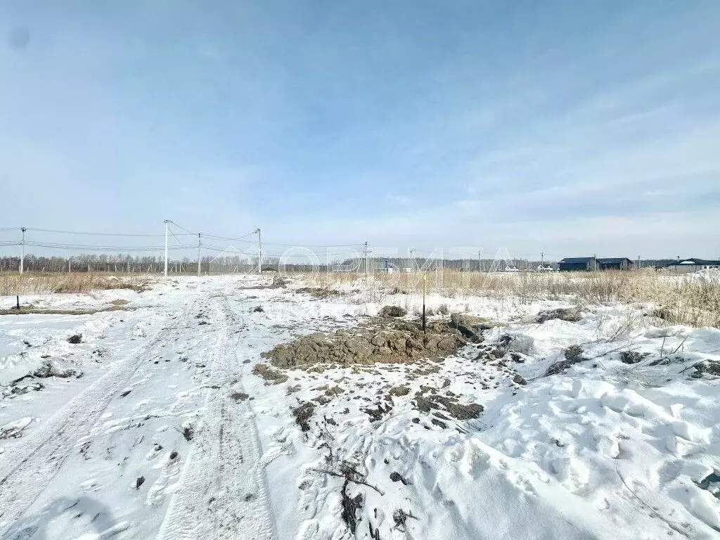 Участок в Тюменская область, Тюменский муниципальный округ, с. ... - Фото 1