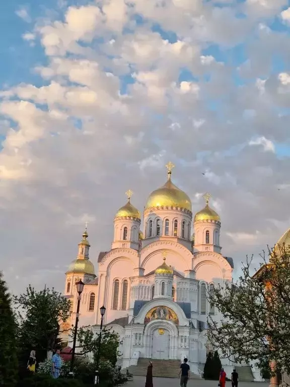 Комната Нижегородская область, с. Дивеево ул. Покровская, 22 - Фото 0