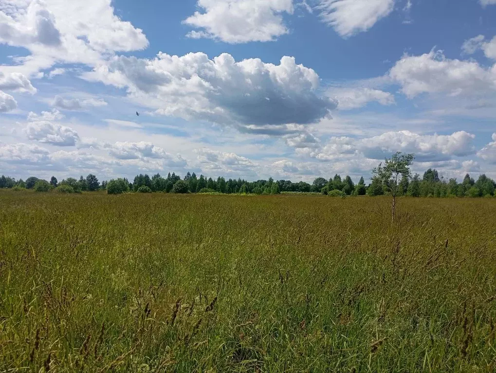 Участок в Московская область, Талдомский городской округ, д. Костино  ... - Фото 1