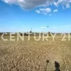 Участок, 10 сот., сельхоз (снт или днп) - Фото 1