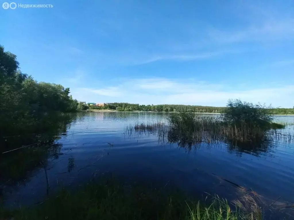 Участок в Волжск, СНТ Дачник (6 м) - Фото 0