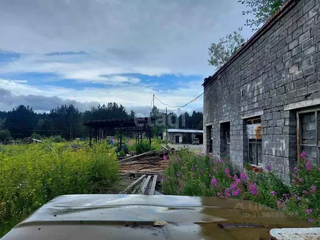 Склад в Свердловская область, Нижний Тагил тракт Кушвинский, 8 (414 м) - Фото 1