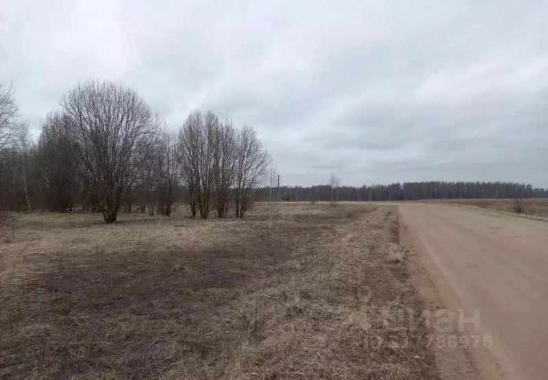 Участок в Московская область, Дмитровский муниципальный округ, д. ... - Фото 0