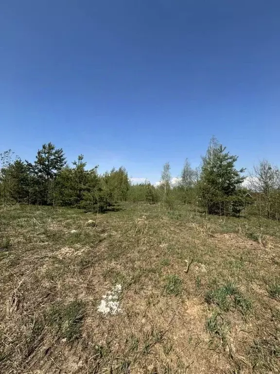 Участок в Нижегородская область, Богородский муниципальный округ, д. ... - Фото 2