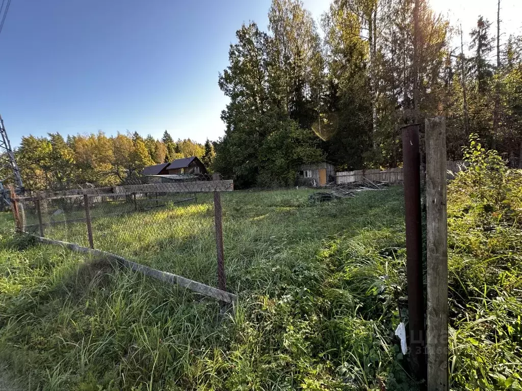 Участок в Московская область, Щелково городской округ, Заозерный СНТ ... - Фото 1