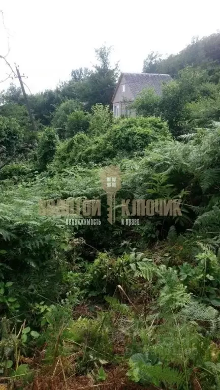 Участок в Краснодарский край, Сочи Курская ул. (5.0 сот.) - Фото 2