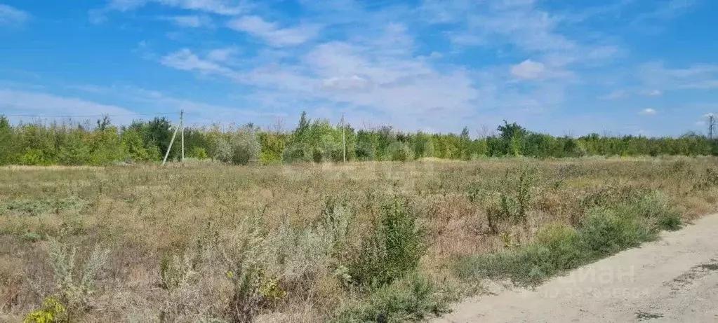 Участок в Ростовская область, Мясниковский район, Краснокрымское ... - Фото 1