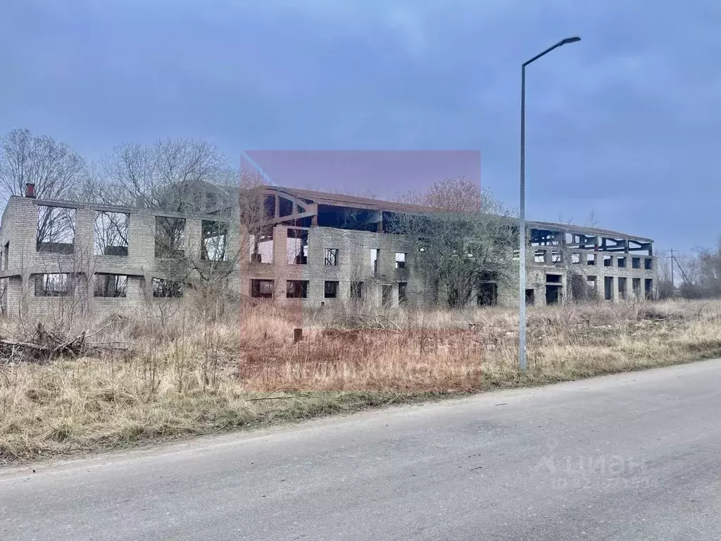 Помещение свободного назначения в Калининградская область, ... - Фото 2