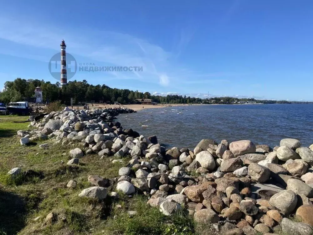 Участок в Ленинградская область, Всеволожский район, Романовское ... - Фото 1