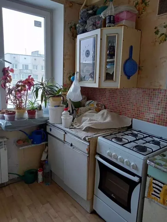 Комната Санкт-Петербург Ириновский просп., 17К2 - Фото 1