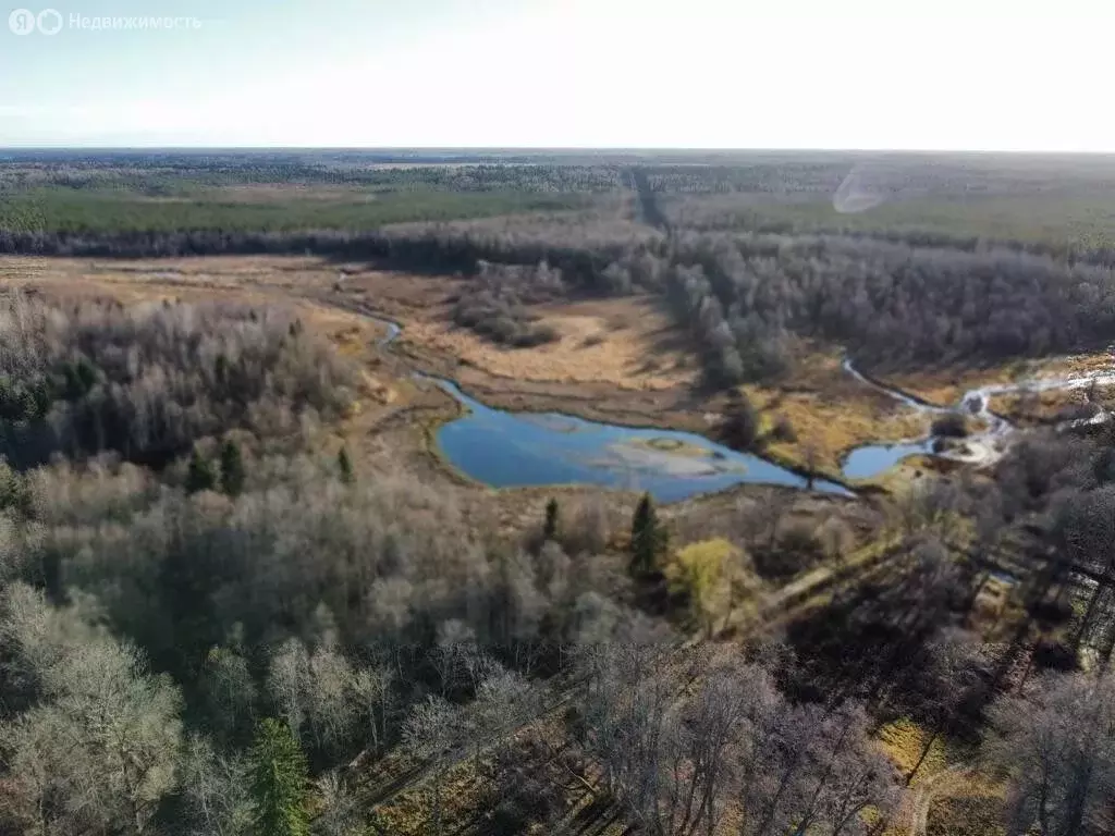 Участок в Волосовский район, Большеврудское сельское поселение, ... - Фото 0