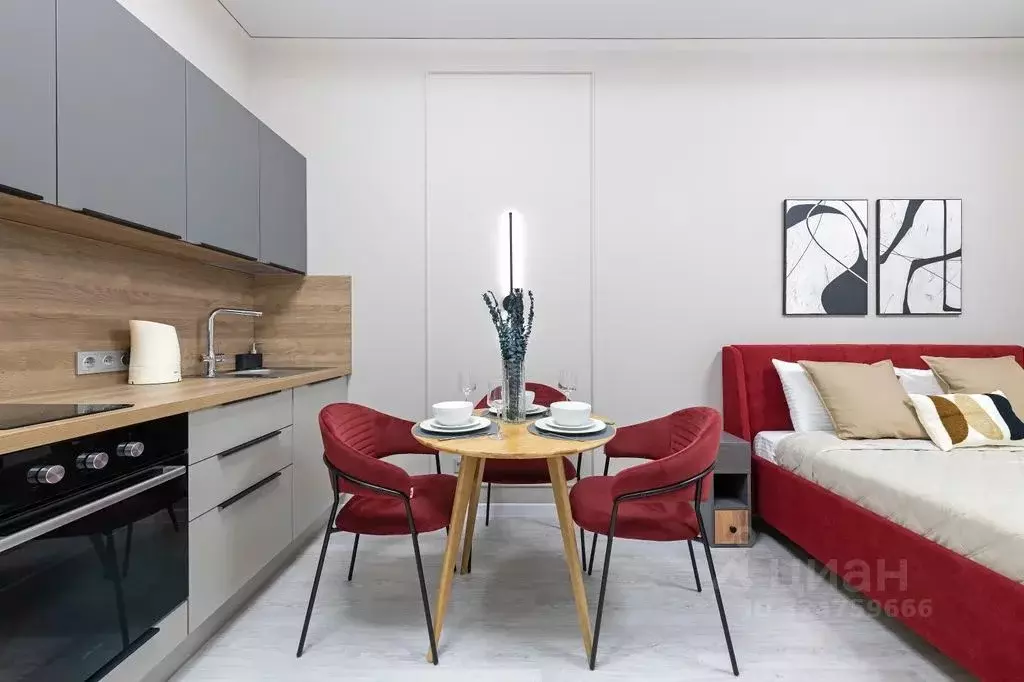 Студия Санкт-Петербург просп. Обуховской обороны, 36 (28.0 м) - Фото 2