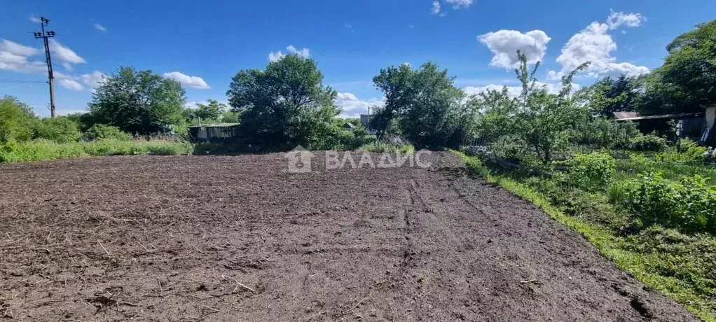 Участок в Амурская область, Благовещенск Мукомол СТ,  (8.4 сот.) - Фото 0