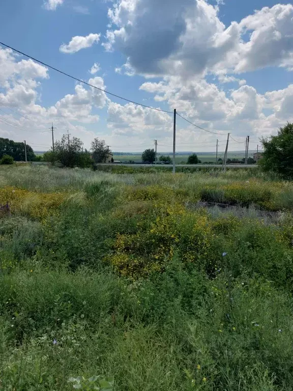 Участок в Оренбургская область, Новотроицк городской округ, с. ... - Фото 2