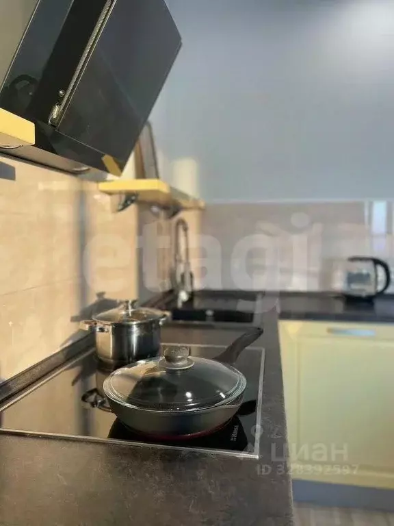 Студия Бурятия, Улан-Удэ Профсоюзная ул., 44 (38.0 м) - Фото 2