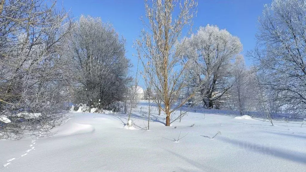 Участок в Московская область, Раменский муниципальный округ, д. ... - Фото 1