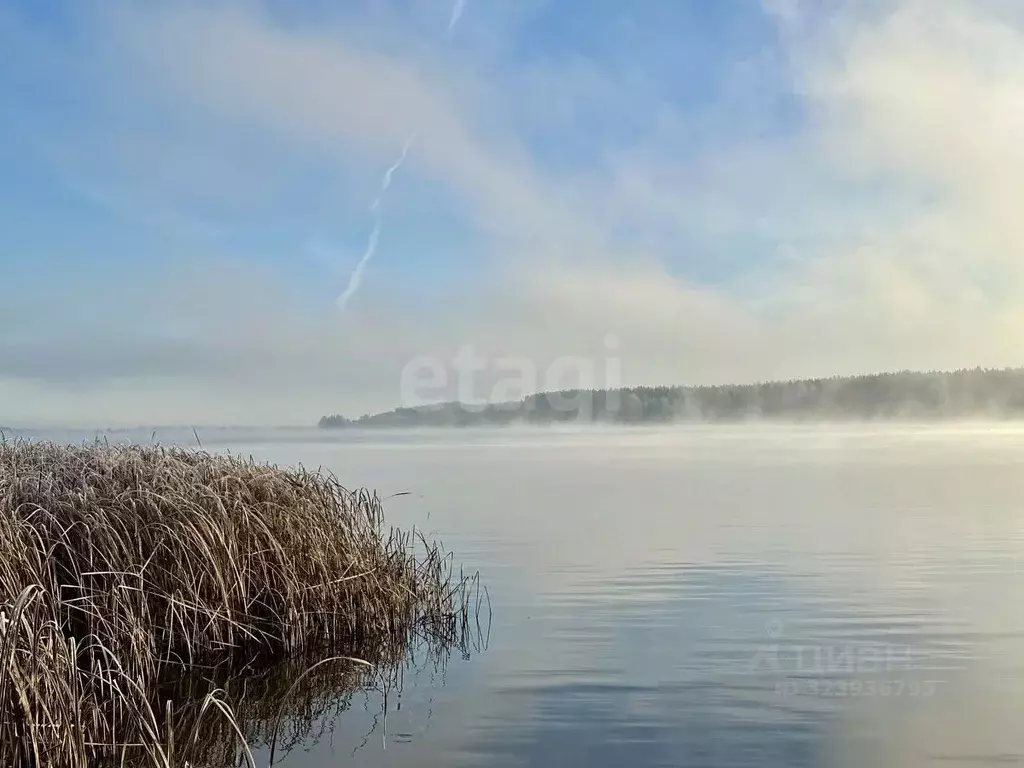 Участок в Ярославская область, Некрасовский муниципальный округ, с. ... - Фото 2
