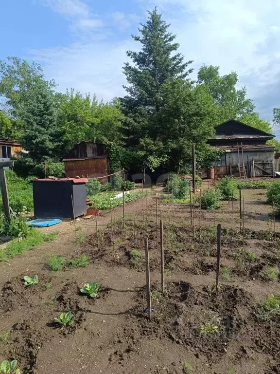 Участок в Амурская область, Благовещенск Рабочая ул. (10.18 сот.) - Фото 1