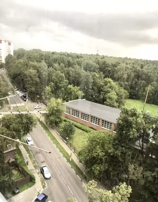 1-к кв. Московская область, Ногинск Богородский городской округ, ул. ... - Фото 2