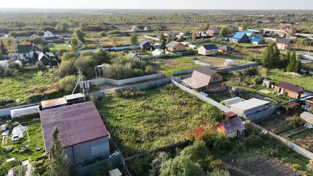 Участок в Тюменская область, Тюмень Факел СНТ, 5-я линия, 207 (6.0 ... - Фото 1