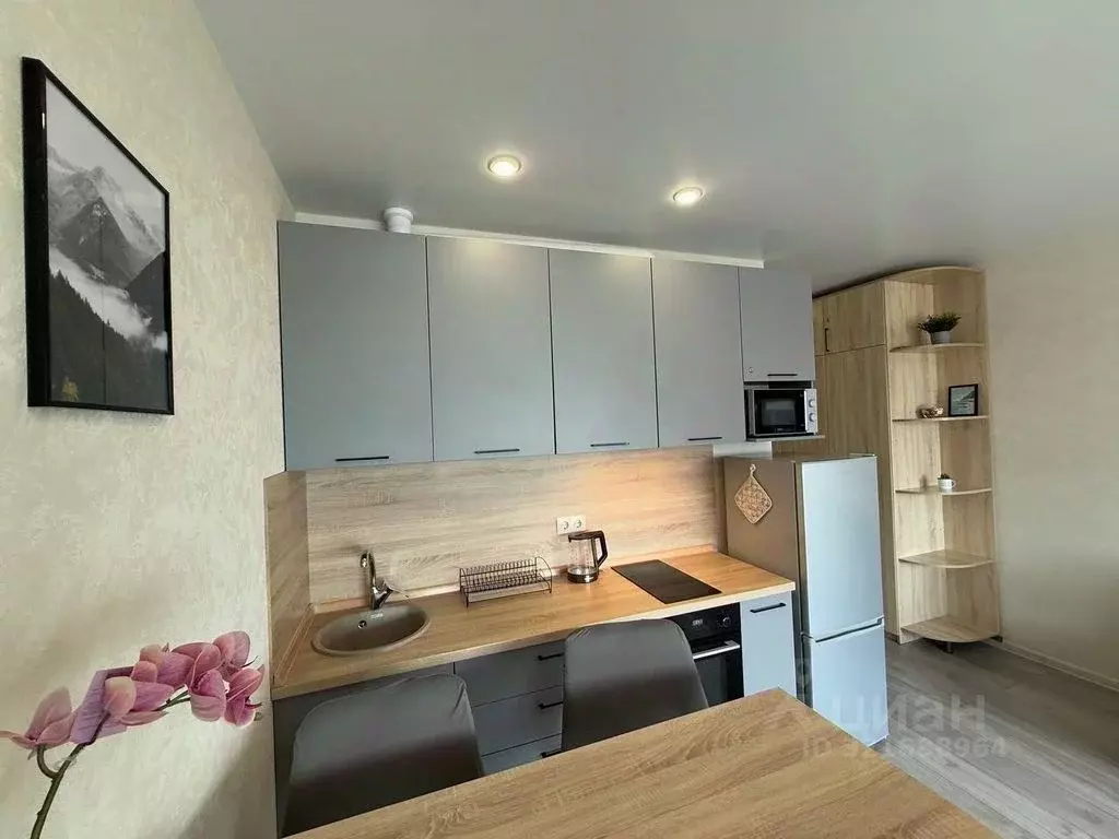 Студия Краснодарский край, Сочи городской округ, Дагомыс пгт ул. ... - Фото 2